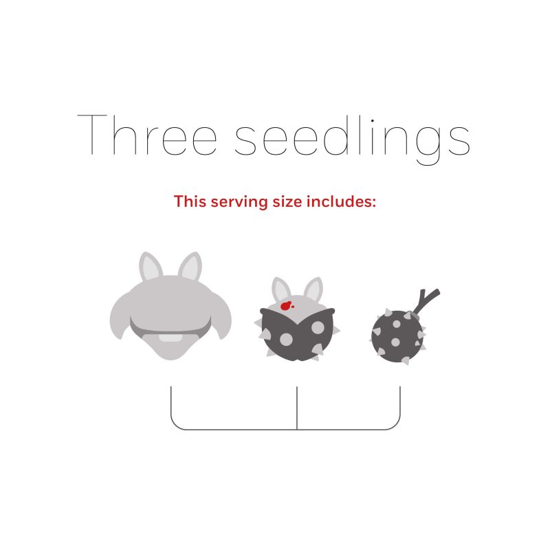 1 Three seedlings paw pain 80 2bbca147 798b 49a6 a4ce ea590de6cd99